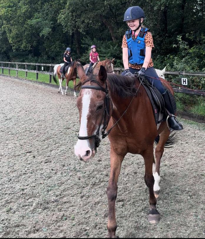 Manege Duikse Hoef - Paardrijlessen