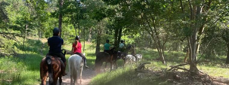 Buitenritten in de natuur