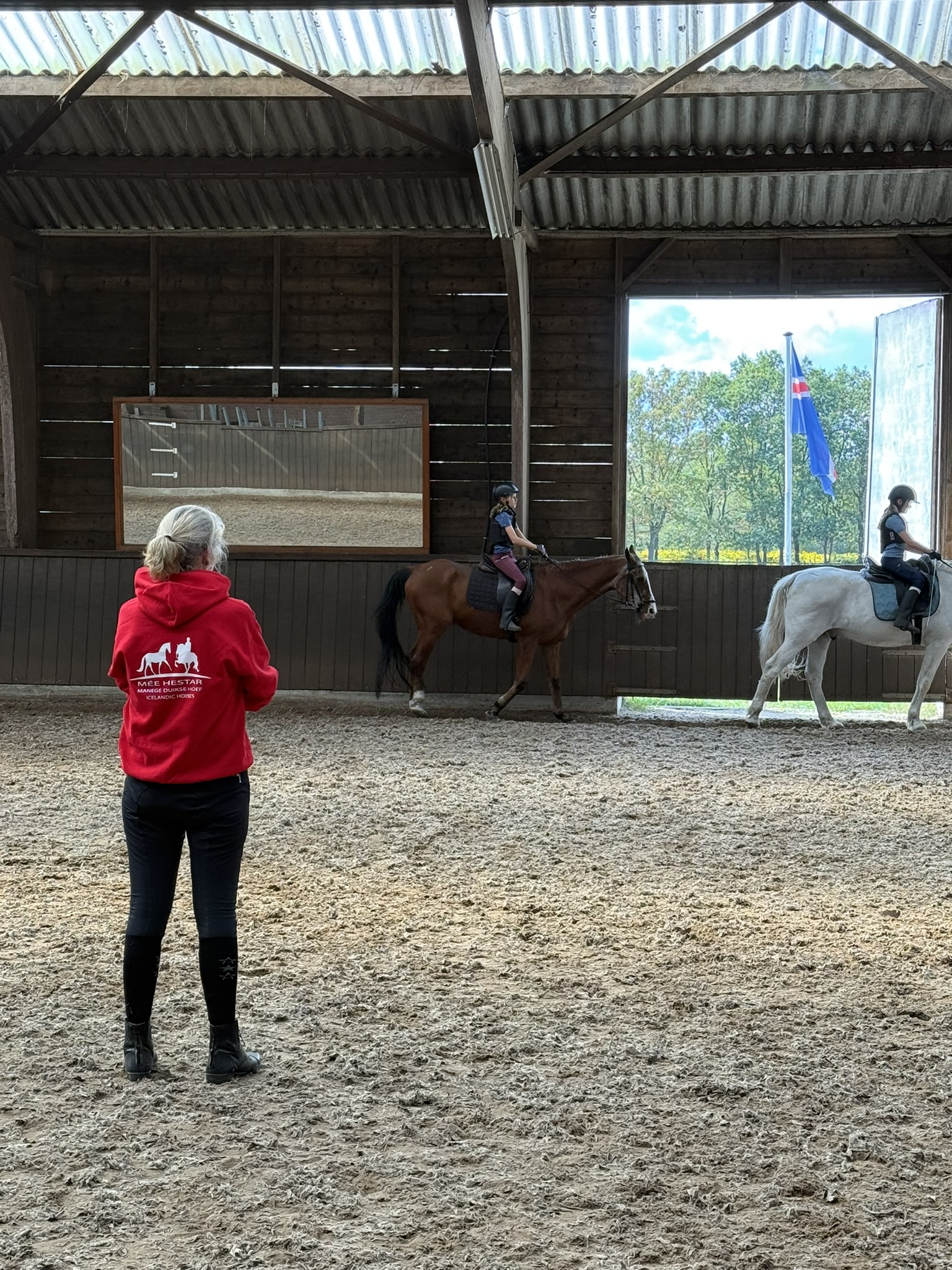 Paarden van Manege Duikse Hoef